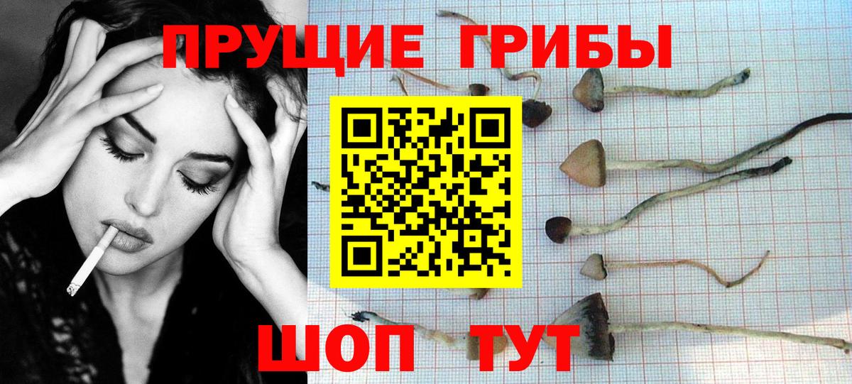 Ржев  Галлюциногенные грибы мухоморы  наркотики  Вход с VPN  Псилоцибиновые грибы Psilocybe 