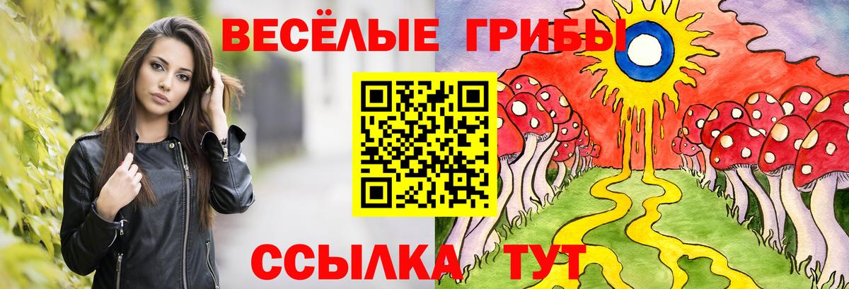 Псилоцибиновые грибы Magic Shrooms Ржев